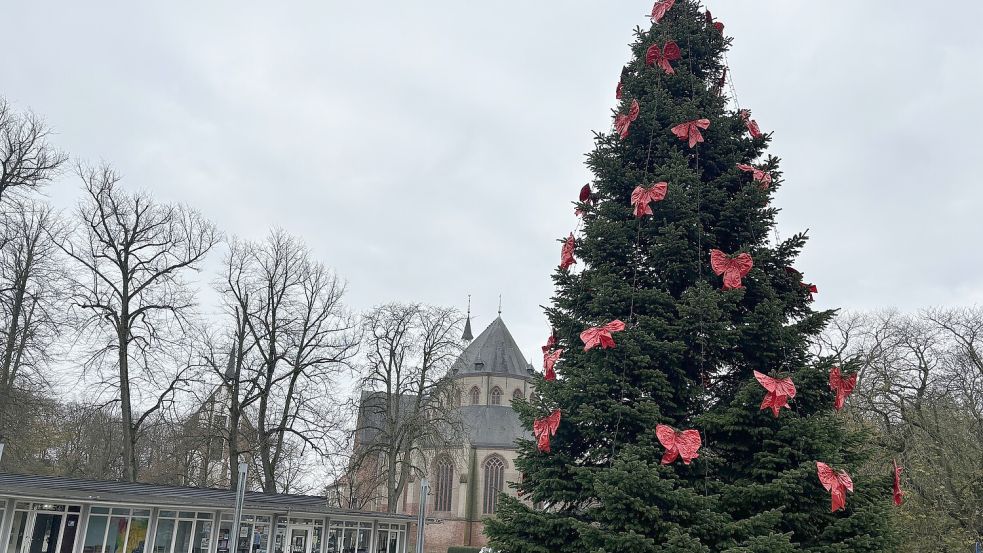 Die 12,5 Meter hohe Tanne steht seit Dienstag fertig geschmückt auf dem Norder Torfmarkt. In zwei Wochen startet hier die Nörder Wiehnacht. Foto: Rebecca Kresse