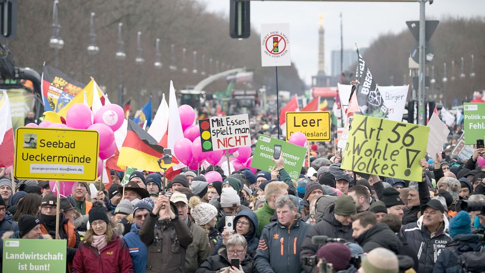 Im Januar 2024 stehen Demonstrationsteilnehmer mit Plakaten vor dem Brandenburger, darunter auch eine Abordnung aus Leer mit eigenem Schild. Foto: Sebastian Christoph Gollnow/dpa