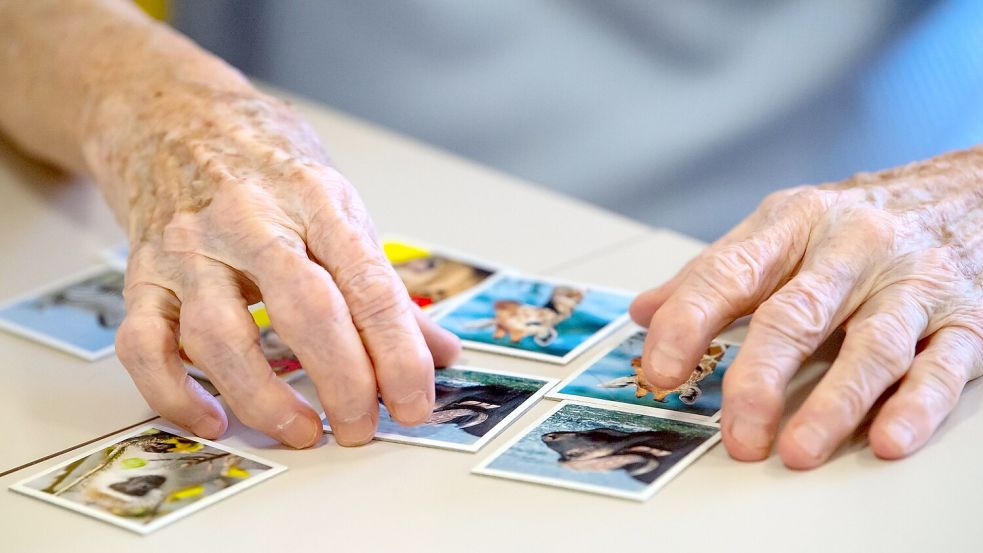 Das Spielen von Memory soll gegen den Gehirnabbau wirken. Foto: Sven Hoppe/dpa