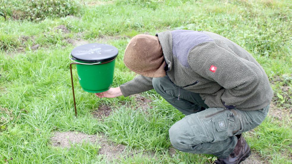 Der Eimer mit Weizen spendet noch Futter für die Rebhühner. Jost Grootes kontrolliert ihn hier. Foto: Oltmanns