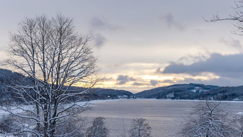 Bisher liegt noch Schnee - das kann zum Ende der Woche aber anders aussehen. Foto: Philipp von Ditfurth/dpa