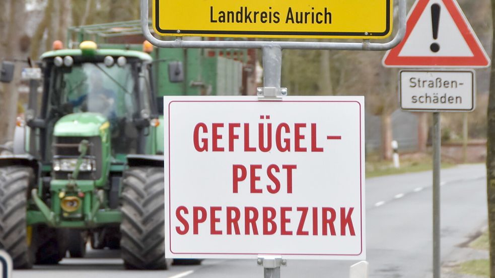 Bei Geflügelpest-Ausbrüchen werden Sperrbezirke eingerichtet, so wie hier 2021 im Brookmerland.Foto: Thomas Dirks