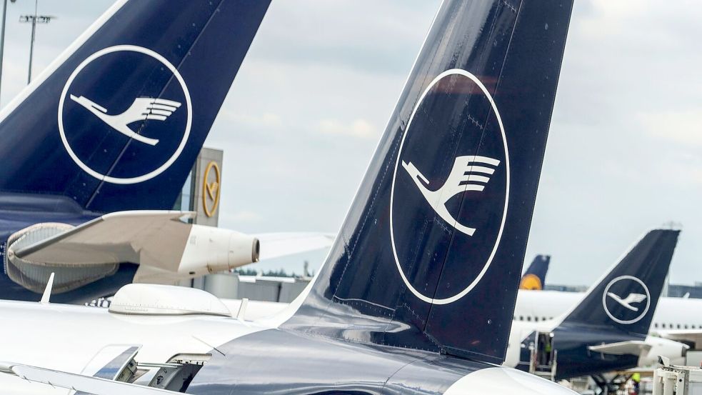 SAF-Quote und CO2-Kompensation sind künftig auf Lufthansa-Flügen zubuchbar. Foto: Andreas Arnold/dpa