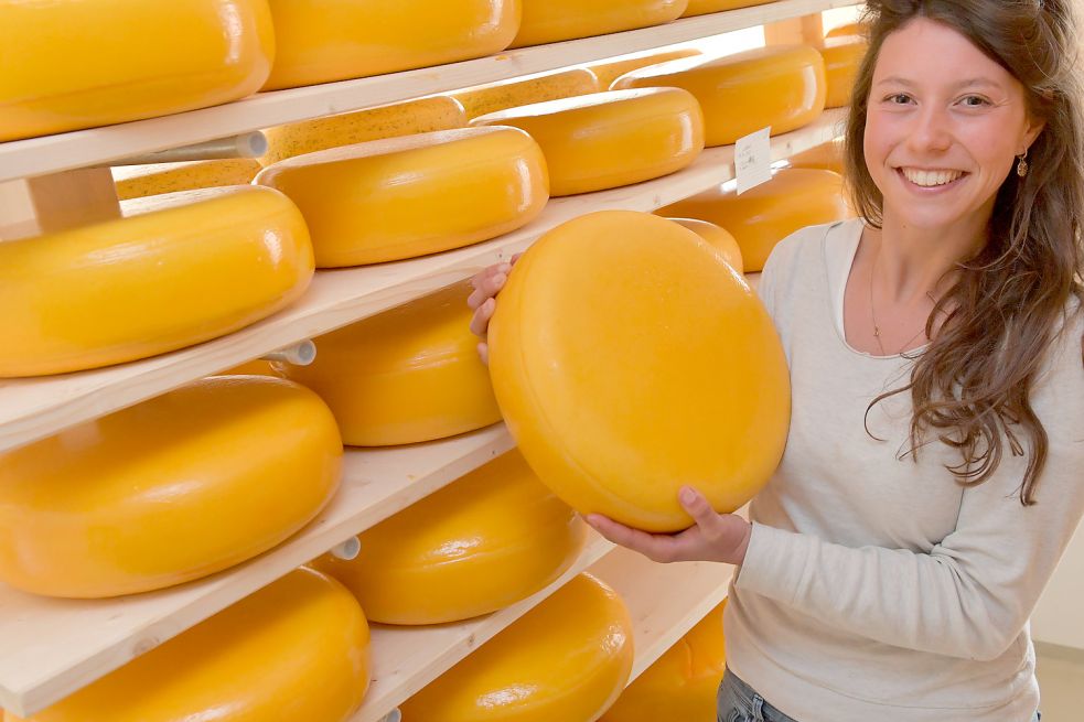 Antje Zents stellt alle zehn-Kilo-Käselaibe selbst her – harte körperliche Arbeit. Foto: Ortgies