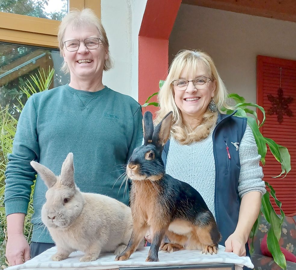 Jörg Gummels (links) und Anja Arndt-Gummels präsentieren ihre ausgezeichneten Zuchttieren. Foto: privat