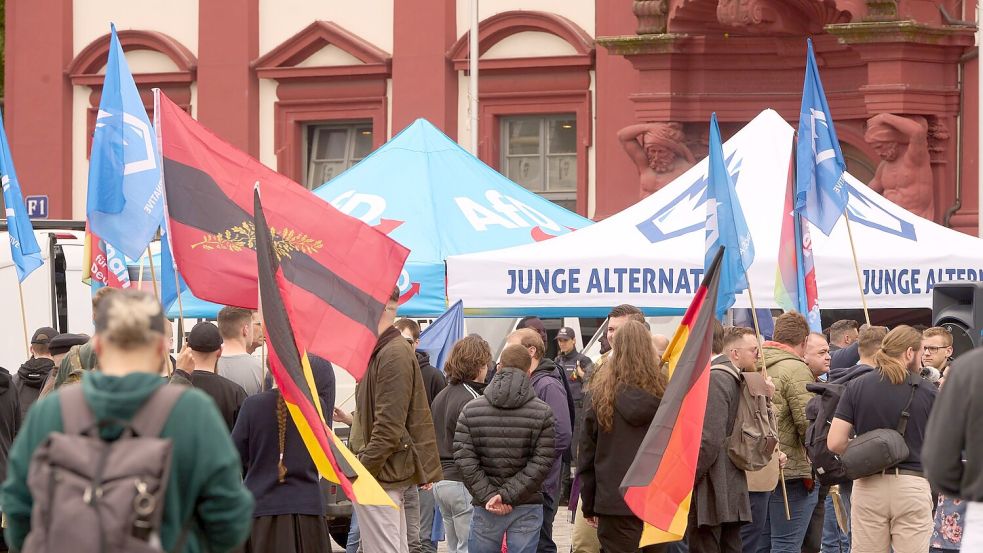 Die AfD will sich von ihrer Nachwuchsorganisation „Junge Alternative“ trennen. (Archivbild) Foto: Thomas Frey/dpa