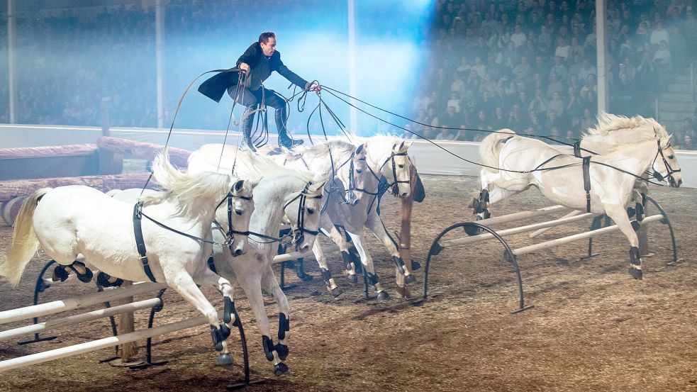 Lorenzo, der fliegende Franzose, steht auf seinen Pferden und trotzt den Gesetzen der Schwerkraft. Fotos: Karsten Gleich