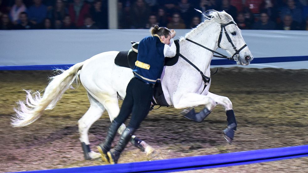 Eine atemberaubende Reitshow bietet die „Compagnie Impulsion“.