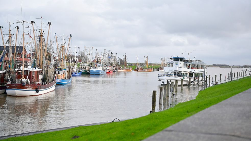 Die Kutterflotte in Greetsiel gehört zu den größten Deutschlands. Foto: Wagenaar