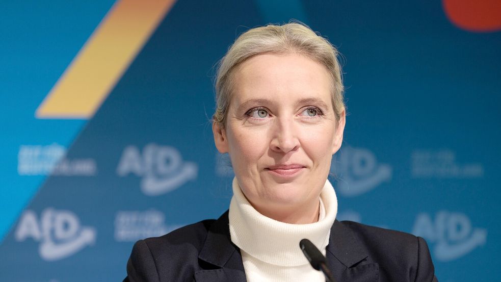 Soll die AfD als Kanzlerkandidatin in die Wahl führen: Alice Weidel. Foto: dpa/Carsten Koall