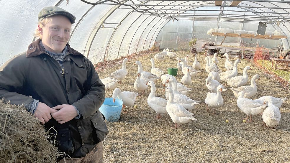 Lukas Rummel steht im Folientunnel, in dem die 33 Gänse in den jetzt kühleren Tagen gehalten werden. Fotos: Zein