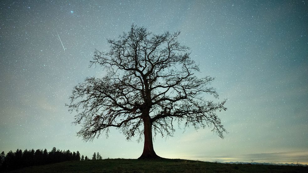 Die Geminiden ziehen vergleichsweise langsam über den Himmel. Foto: dpa/Matthias Balk