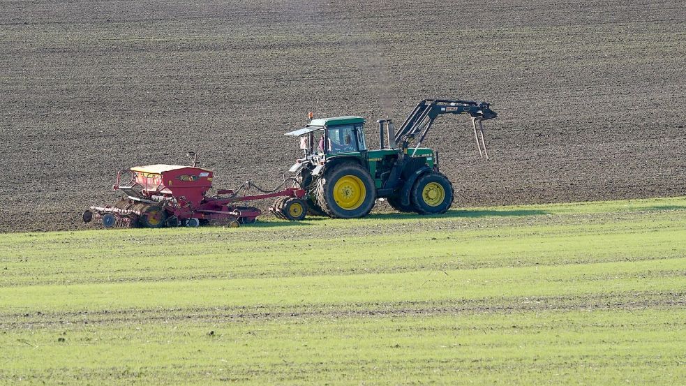 Der Gewinn der Bauern ist auch in Ostfriesland um knapp 30 Prozent eingebrochen. Foto: Brandt/dpa