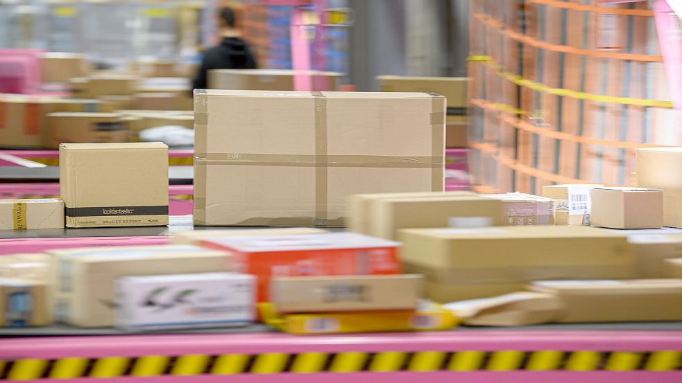 Transportband in einem DHL-Paketzentrum: In Paketen stecken manchmal auch für den Zoll Überraschungen. (Symbolbild) Foto: Robert Michael/dpa-Zentralbild/dpa