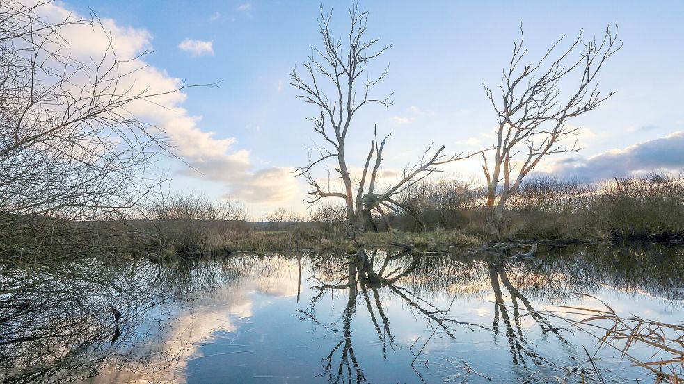 Zum Wochenstart wird mildes und unbeständiges Wetter in Deutschland erwartet. Foto: Thomas Warnack/dpa