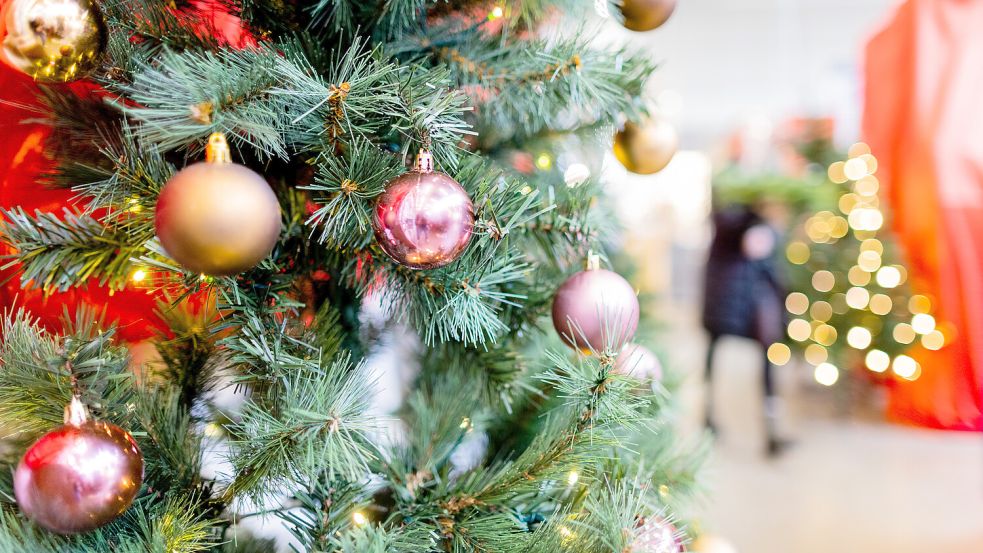 Der Weihnachtsbaum ist nicht nur ein Deko-Objekt, sondern eine Lebenseinstellung. Und wie bei jeder Lebenseinstellung gibt es auch beim Thema Weihnachtsbaum klare Typen. DPA-Symbolfoto: Vennenbernd