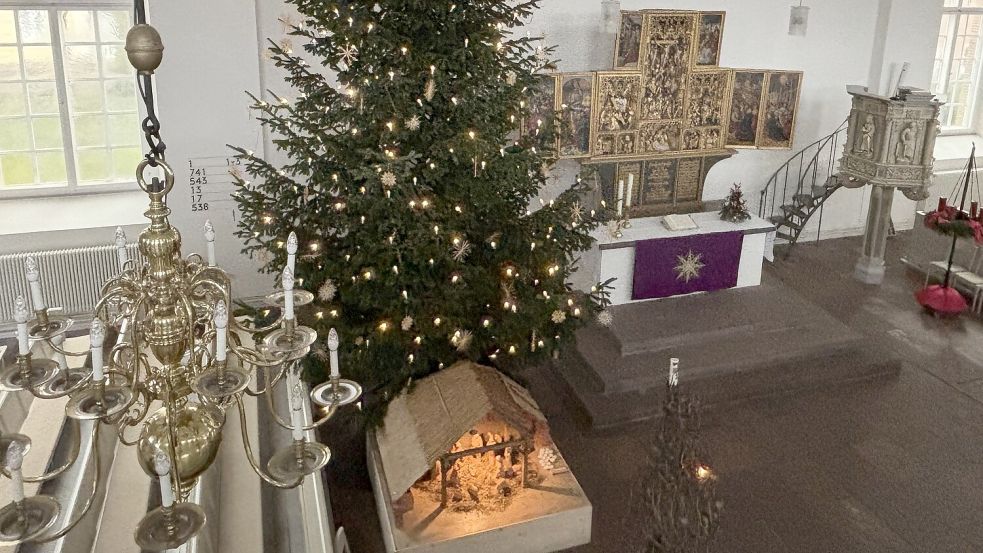 Am Dienstag wurde in der Lambertikirche der Weihnachtsbaum aufgestellt. Foto: Heino Hermanns