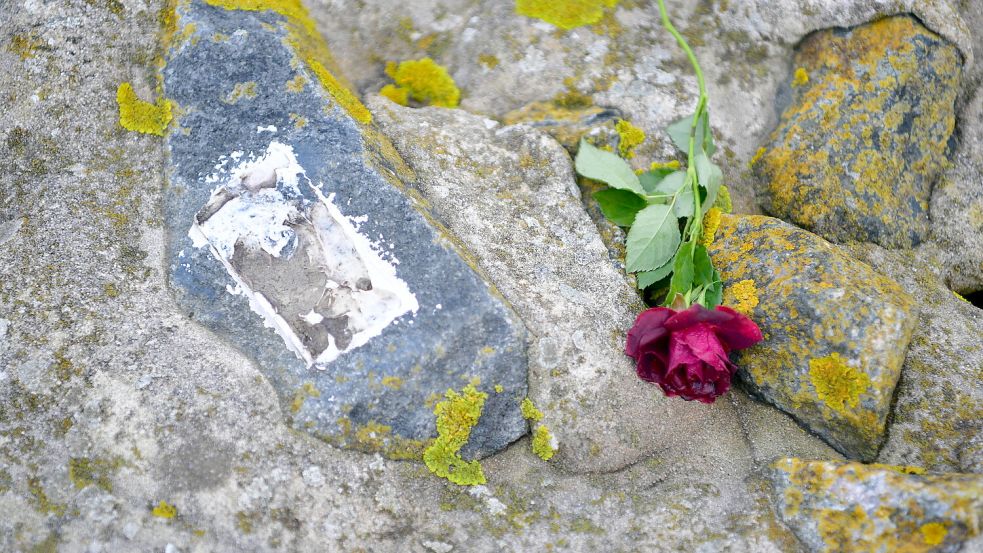 Etwa 200 Gedenktafeln waren am Emsufer von Angehörigen auf See bestatteter Menschen auf den Steinen angebracht gewesen. Doch ein Unbekannter oder Unbekannte stahlen oder zerstörten die meisten Plaketten. Foto: Wagenaar/Archiv