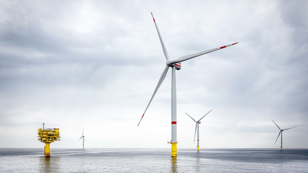 Unter anderem den Offshore-Windpark Kaskasi in der Nordsee betreibt RWE. Foto: RWE/Paul Langrock