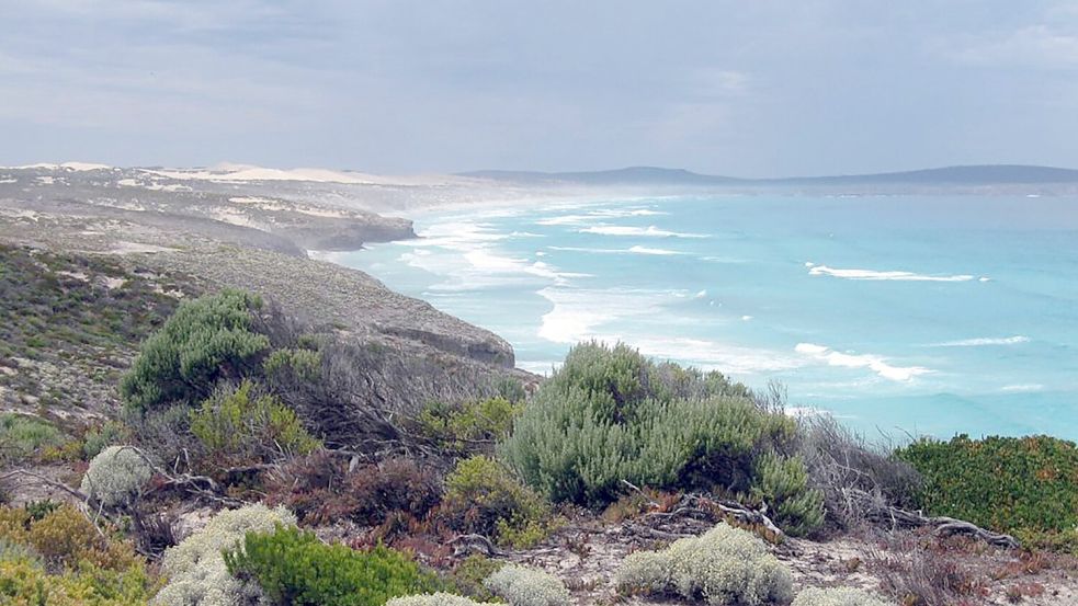 Das Opfer stammt aus dem wenige Hundert Kilometer entfernten Port Lincoln. (Archivbild) Foto: James Shrimpton/AAP/dpa