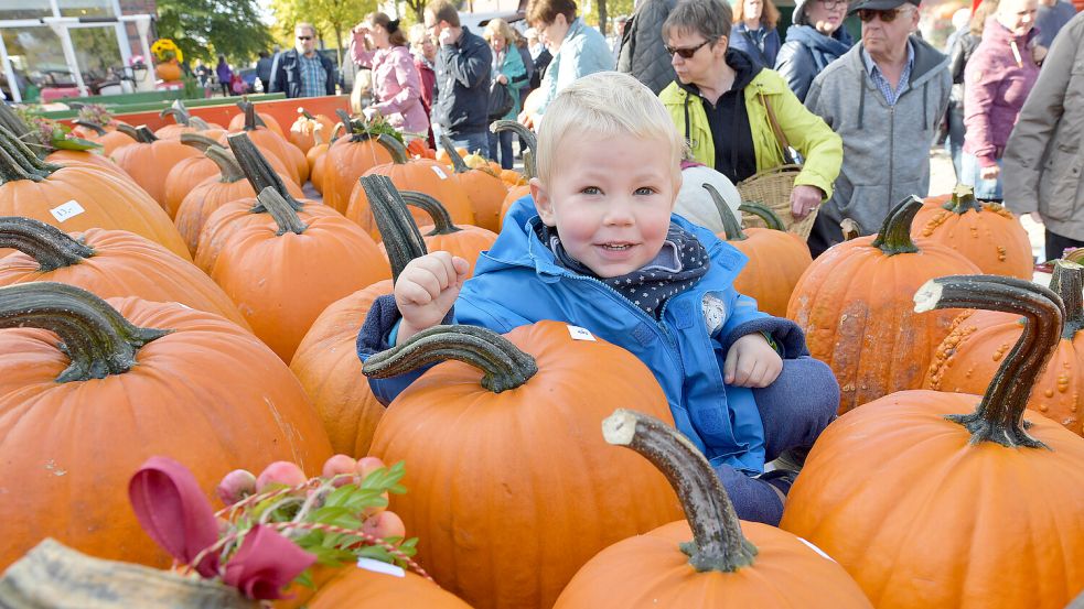 Das Kürbisfest ist eine feste Größe im Wiesmoorer Veranstaltungskalender. Foto: Archiv/Ortgies