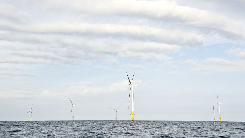 Ein Offshore-Windpark in der Nordsee. Zwischen den einzelnen Anlagen könnten in Zukunft Aquakulturen angelegt werden. Foto: BSH/Claudia Thomsen