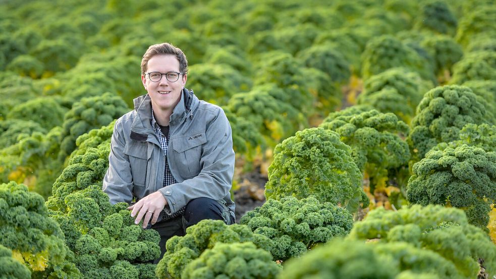 Bio-Landwirt Heiko Dreyer im November zwischen Grünkohlpflanzen. Dieses Gemüse wird bekanntlich auch im Winter geerntet. Foto: Archiv/Ortgies