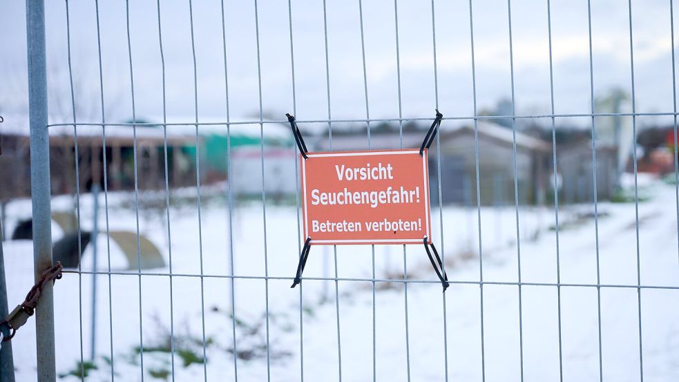 „Vorsicht Seuchengefahr!“ steht auf einem Schild an einem Betrieb in Mehrow. Zum Schutz vor einer möglichen Ausbreitung der Maul- und Klauenseuche sollen am Vormittag vorsorglich rund 200 Schweine im brandenburgischen Landkreis Barnim getötet werden. Nun hat Südkorea Schweinefleischimporte aus Deutschland verboten. Foto: Annette Riedl/dpa