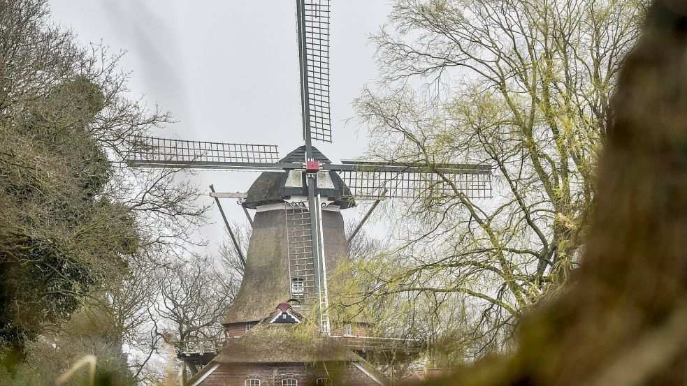 Die Mühle Felde war die zweite Mühle, die Emminga errichtete. Er baute sie 1866, nach seiner Rückkehr nach Ostfriesland. Foto: Ortgies/Archiv