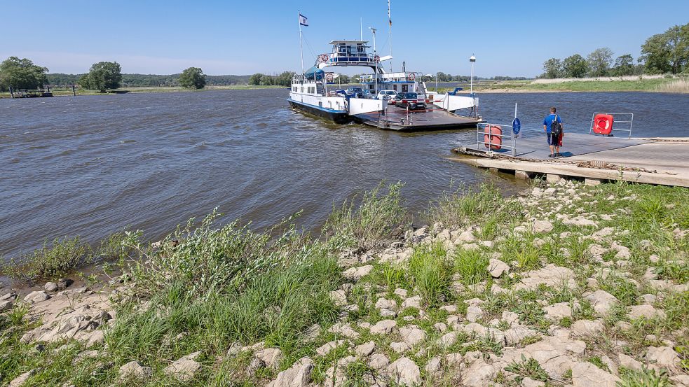 Immer wieder wird der Bau einer Brücke bei Darchau diskutiert. Derweil verbindet eine Fähre die Ufer miteinander. Foto: dpa/ Jens Büttner