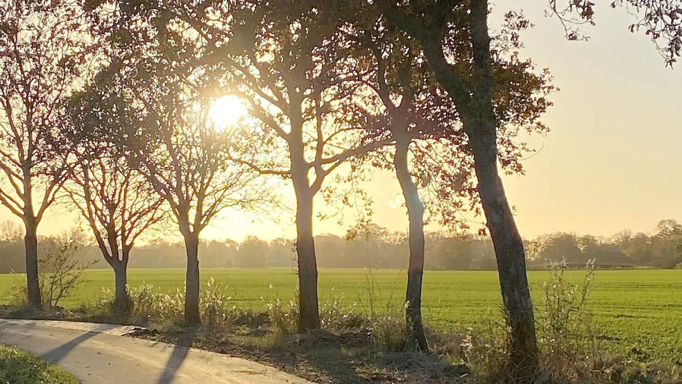 Am Sonntag zeigt sich in Ostfriesland die Sonne. Foto: Hanz