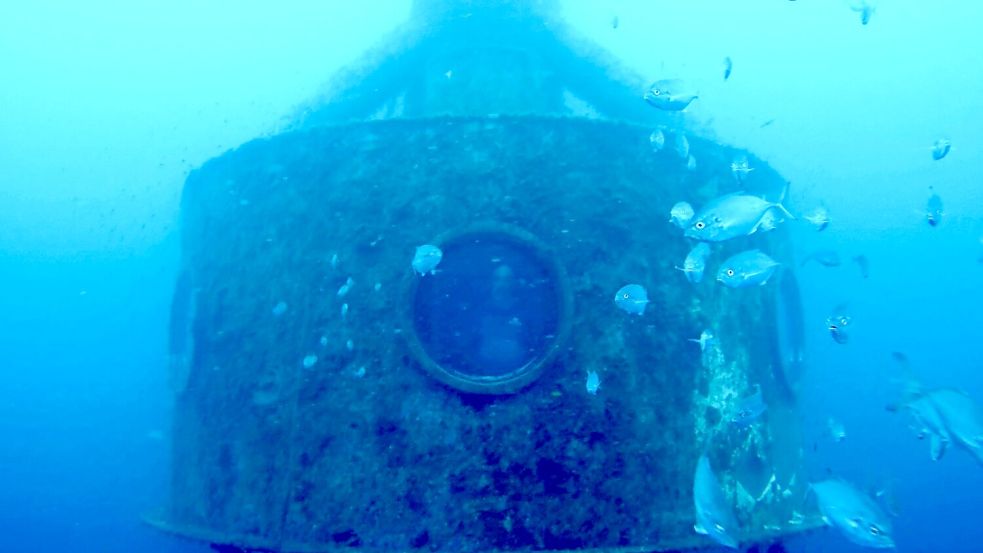 Koch drehte auch Videos von Fischen aus seiner Kapsel. Foto: ---/Ocean Builders/dpa