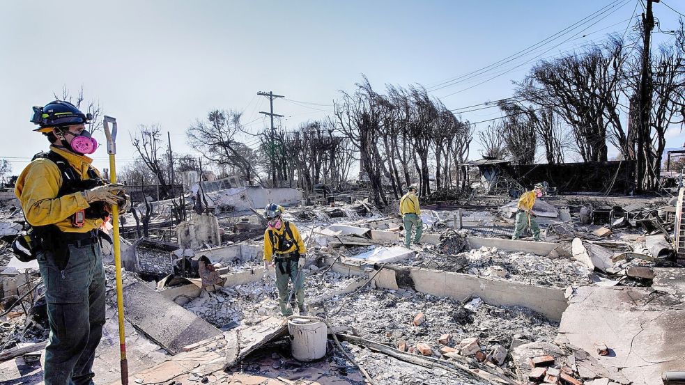 Von vielen Häusern ist in Pacific Palisades nichts mehr übrig. (Archivbild) Foto: Richard Vogel/AP/dpa