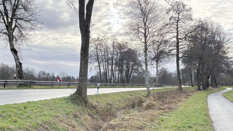 In diesem Bereich kam der Motorradfahrer von der Straße ab. Foto: Kruse