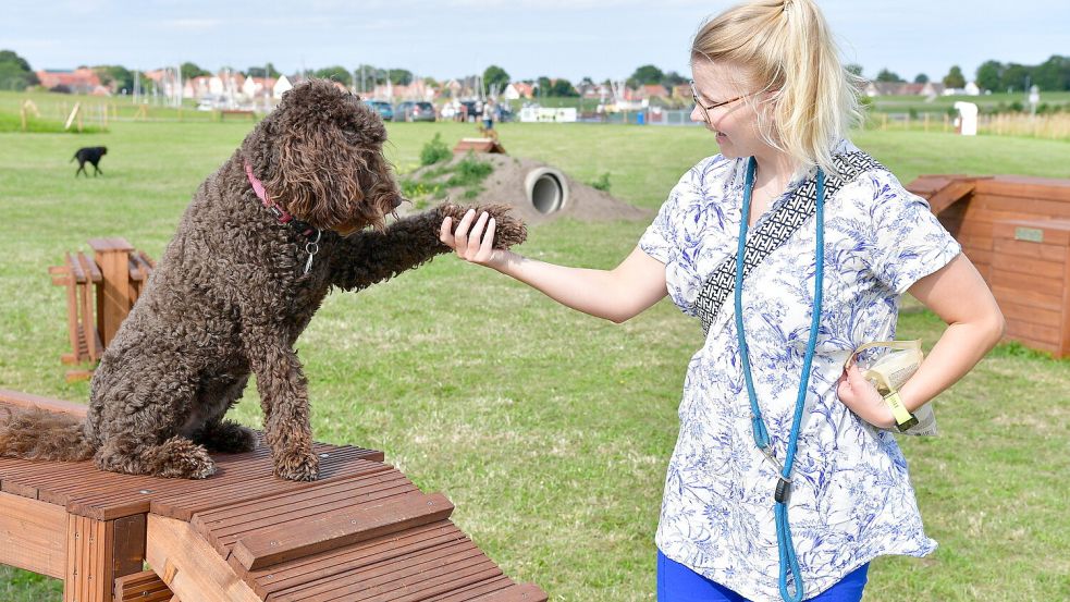 Für Vierbeiner wie Labradoodle-Hündin Josy gibt es in Greetsiel seit dem Sommer 2023 einen Hundespielplatz. Foto: Wagenaar/Archiv