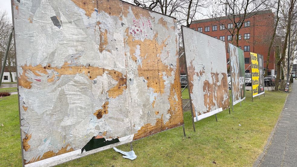 Die Großflächenplakate am Pferdemarkt mussten zum wiederholten Mal erneuert werden. Foto: Mieke Matthes