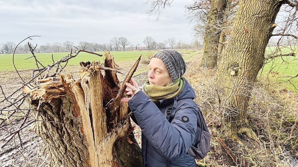 Margitta Kopitzke-Blank schaut sich einen Baum an, der abgetrennt wurde. Foto: Ortgies