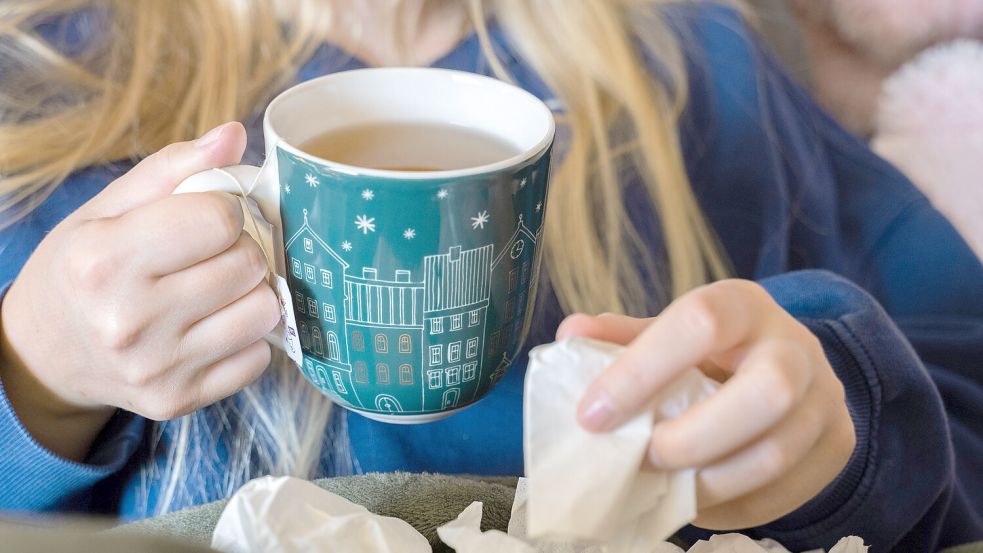 Ostfriesland schnieft und hustet: Eine Influenza-Welle rollt durch den Landkreis Aurich. Foto: DPA