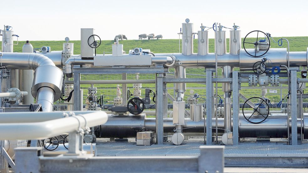 Industrieanlagen in einer kleinen Gemeinde: Schafe und Speicher. Foto: SEFE