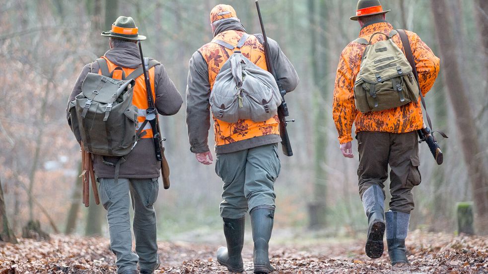 In Deutschland gehen immer mehr Menschen auf die Jagd. Doch wie schneidet die Bundesrepublik im Vergleich mit anderen europäischen Staaten ab? Foto: dpa/Friso Gentsch