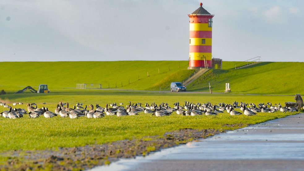 Der Pilsumer Leuchtturm ist ein beliebtes Ausflugziel in der Krummhörn. Foto: Ortgies/Archiv