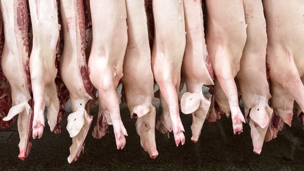 Die Schlachtmenge bei Schweinefleisch steigt um 1,9 Prozent. (Archivbild) Foto: Mohssen Assanimoghaddam/dpa