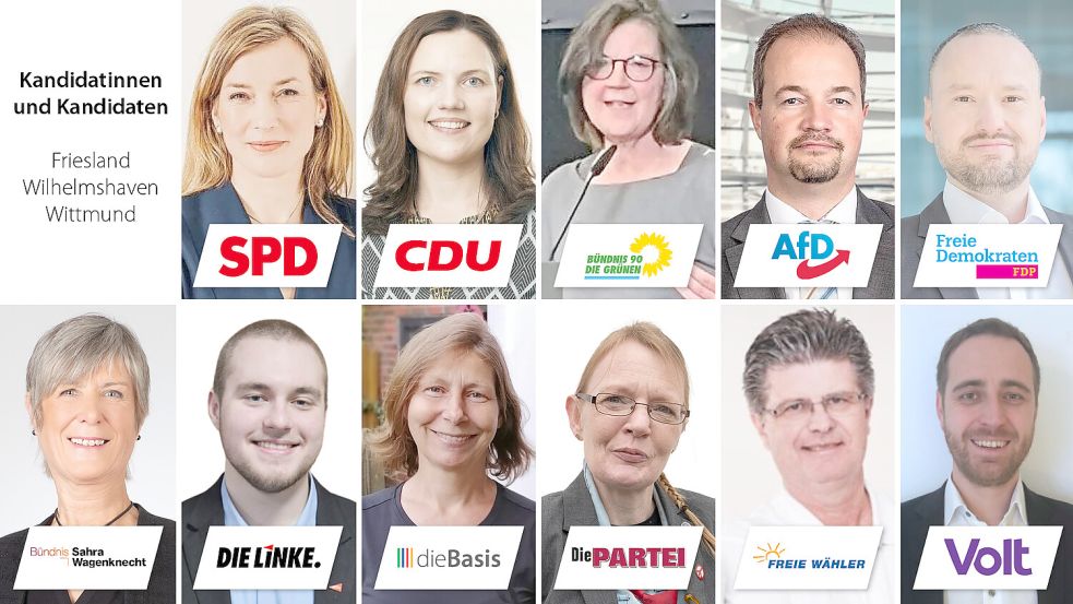 Sie kandidieren im Wahlkreis 26: (oben von links) Siemtje Möller (SPD), Anne Janssen (CDU), Ulrike Maus (Grüne), Martin Sichert (AfD), Robert Wegener (FDP) sowie (unten von links) Agbes Wittke (BSW), Vincent Janßen (Linke), Stephanie Langner (Basis), Anja Sanchez Mengeler (PARTEI) Andreas Lang (Freie Wähler) und Merten Köhler (Volt). Fotos: Archiv/Parteien, privat.