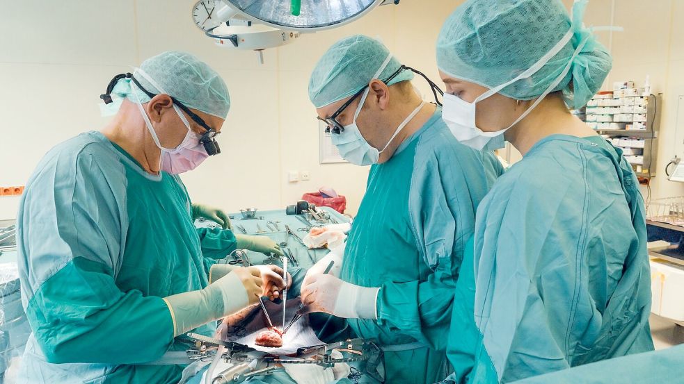 Philipp Felgendreff (mitte) transplantiert wie hier häufig menschliche Nieren, hat aber Hoffnung, dass er künftig auch Schweinenieren in Menschen einsetzt. Foto: Anna-Katharina Junge/Medizinische Hochschule Hannover/dpa