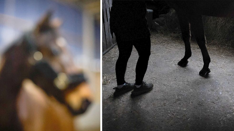 Recherchen unserer Redaktion haben gezeigt, dass es auf Reiterhöfen immer wieder zu sexuellem Missbrauch kommt. Foto: Michael Gründel