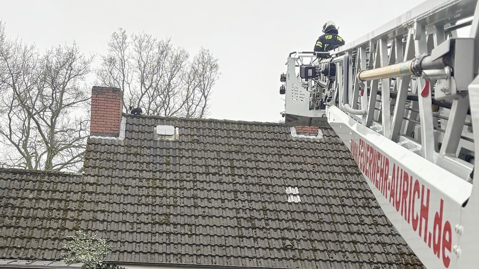 Mit einer Drehleiter versuchten die Einsatzkräfte, das Tier vom Dach zu holen. Foto: Feuerwehr