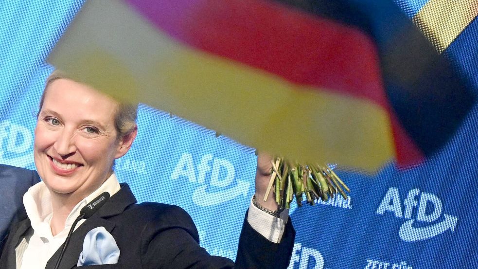 Starker Zuwachs: Die AfD wurde zweitstärkste Kraft. Foto: Julian Stratenschulte/dpa