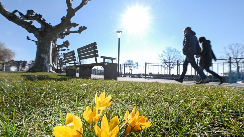 Erst ungemütlich, dann frühlingshaft mit Sonne und hohen Temperaturen: So entwickelt sich das Wetter in Niedersachsen. Foto: dpa/Felix Kästle