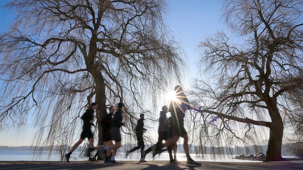 Der Wetterdienst rechnet mit Temperaturen von bis zu 20 Grad im Verlauf der Woche. Foto: Christian Charisius/dpa