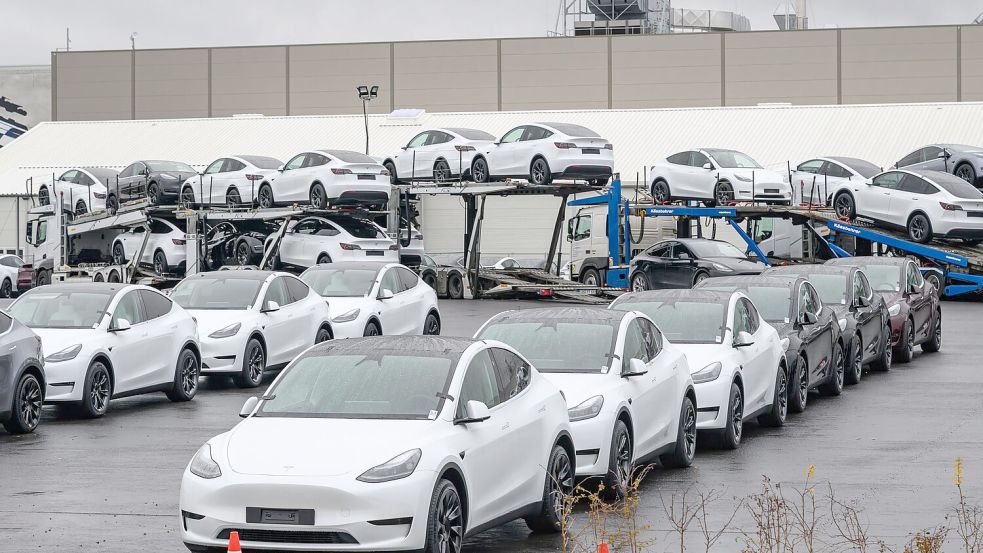 Selbst US-Präsident Trump will seinem Berater Musk und dessen Autofirma nun unter die Arme greifen. Foto: Patrick Pleul/dpa